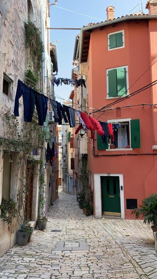 Davor Holiday Apartments Rovinj Buitenkant foto