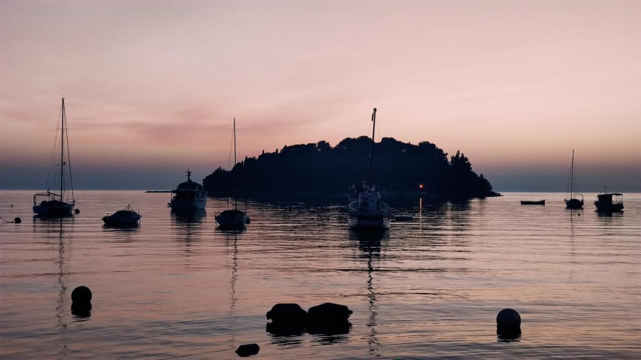 Davor Holiday Apartments Rovinj Buitenkant foto